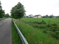 Monzelfeld von Bernkastel-Kues