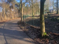 Mookerschans