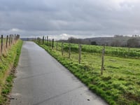 Moorheide über Kleinveldjesweg