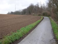 Moorheide über Kleinveldjesweg