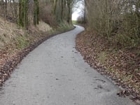 Moorheide über Kleinveldjesweg
