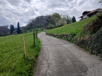 Moosboden via Aeschiweg