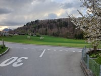 Moosboden via Aeschiweg