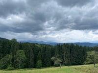 Moosenmättle von Halbmeil