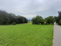 Moosing von Reibeisen