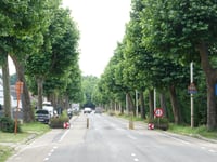 Morenhoek von Tibur
