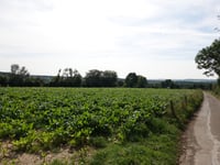 Moresnet-Chapelle via Chemin de Roerberg