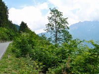 Mortirolo über Monno