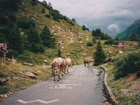 Mortirolo
