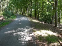 Mospert von Eupen
