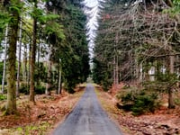 Mospert von Eupen