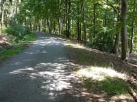 Mospert via Langestahl