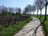Motmolenweg
