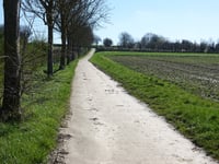 Motmolenweg