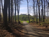 Motte van Montferland