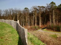 Motte van Montferland