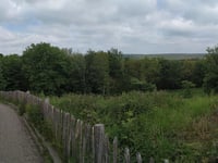 Motte van Montferland
