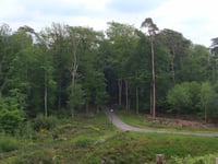 Motte van Montferland