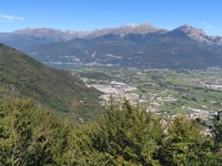 Motto dei Larici da Delebio