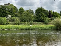 Mount Alto from Inistioge