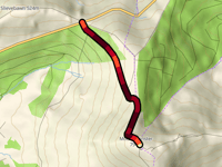 Mount Leinster von The Nine Stones