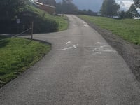 Mühlemichelshäusl von Hinterzarten