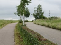 Mühlenbach von Horbach
