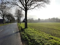 Mühlenberg von Herongen