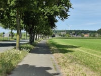 Mühlenberg von Herongen