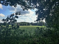 Mühlenberg via An der Bree