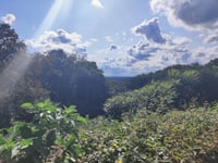Mühlenberg über Waldseiter Strasse