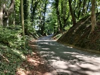 Mühlenheuweg von Vorst