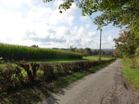 Mühlenweg depuis Busch