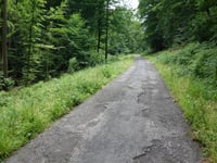 Mulartshütter Schneise von Zweifaller Strasse