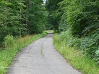 Mulartshütter Schneise von Zweifaller Strasse