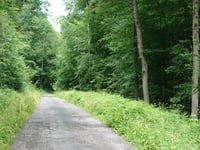 Mulartshütter Schneise von Zweifaller Strasse