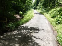 Mulartshütter Schneise von Zweifaller Strasse