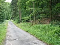 Mulartshütter Schneise von Zweifaller Strasse