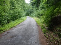 Mulartshütter Schneise von Zweifaller Strasse
