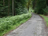 Mulartshütter Schneise von Zweifaller Strasse