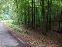 Mulartshütter Schneise von Zweifaller Strasse