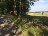 Mulderskop da Malden