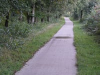 Mulderskop da Malden