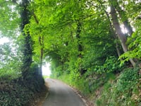 Mulderswegske von Thull