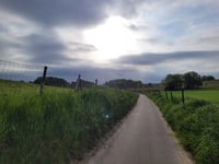 Mulderswegske von Thull