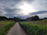 Mulderswegske von Thull