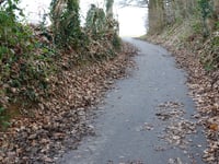 Mulderswegske von Thull