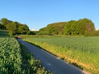 Mulderswegske von Thull