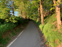 Mulderswegske von Thull