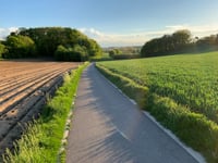 Mulderswegske von Thull